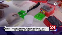 Viruela del mono: Perú declarará alerta sanitaria por aumento de casos en el mundo