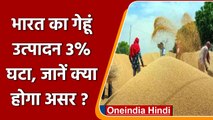 India wheat production: 3% तक घटा गेहूं उत्पादन,  2014 के बाद बड़ी गिरावट | वनइंडिया हिंदी