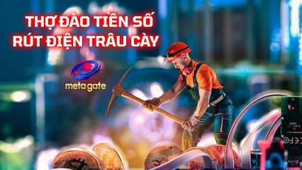 Thợ đào tiền số rút điện trâu cày - #Shorts