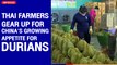 Thai farmers gear up for China's growing appetite for durians | The Nation