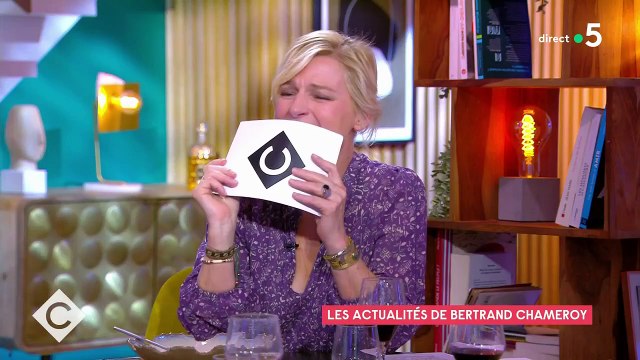 Je suis désolée, je n'ai pas préparé : Le long chemin de croix d'une candidate RN aux législatives sur France 3