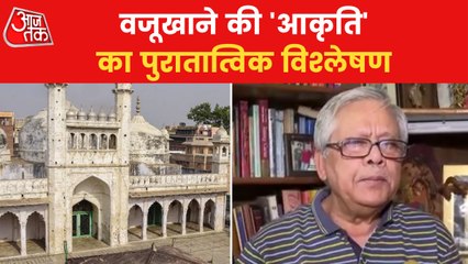 'Remains in Gyanvapi can not not be Islamic structure'