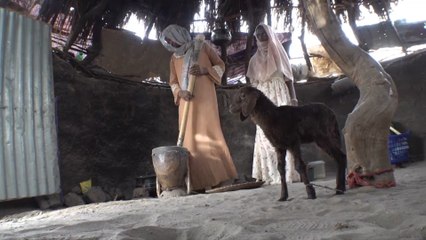 بلدان الساحل الأفريقي تواجه أزمة غذاء حادة