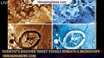 Scientists discover 'ghost' fossils beneath a microscope - 1BREAKINGNEWS.COM