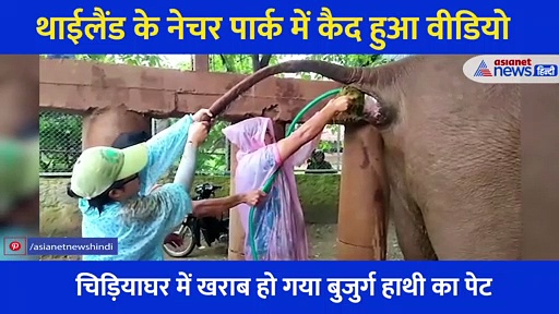 जब खराब होता है हाथी का पेट तो आती है क़यामत, इलाज के दौरान कैद हुआ ऐसा घिनौना वीडियो