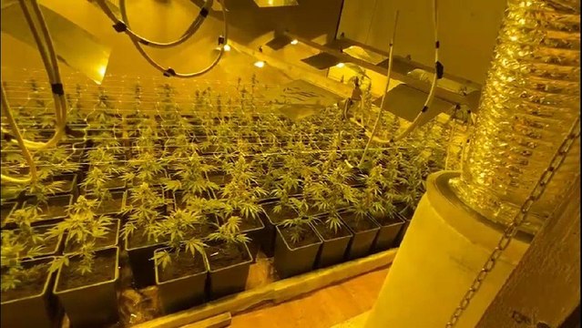 Böbreğini satıp, villada uyuşturucu imalathanesi kurmuş