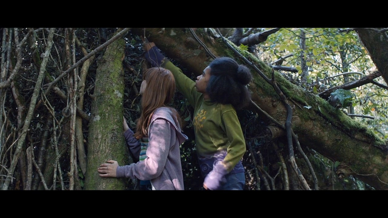 Summer In The Shade Trailer