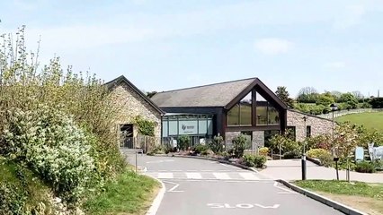 Donkey sanctuary Sidmouth