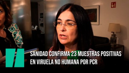 Sanidad confirma 23 muestras positivas en viruela no humana por PCR