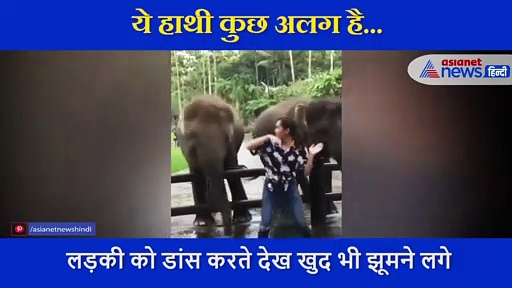 लड़की को डांस करते देख जोश में आए हाथी ऐसे झूमने लगे, IPS अफसर ने शेयर किया VIDEO