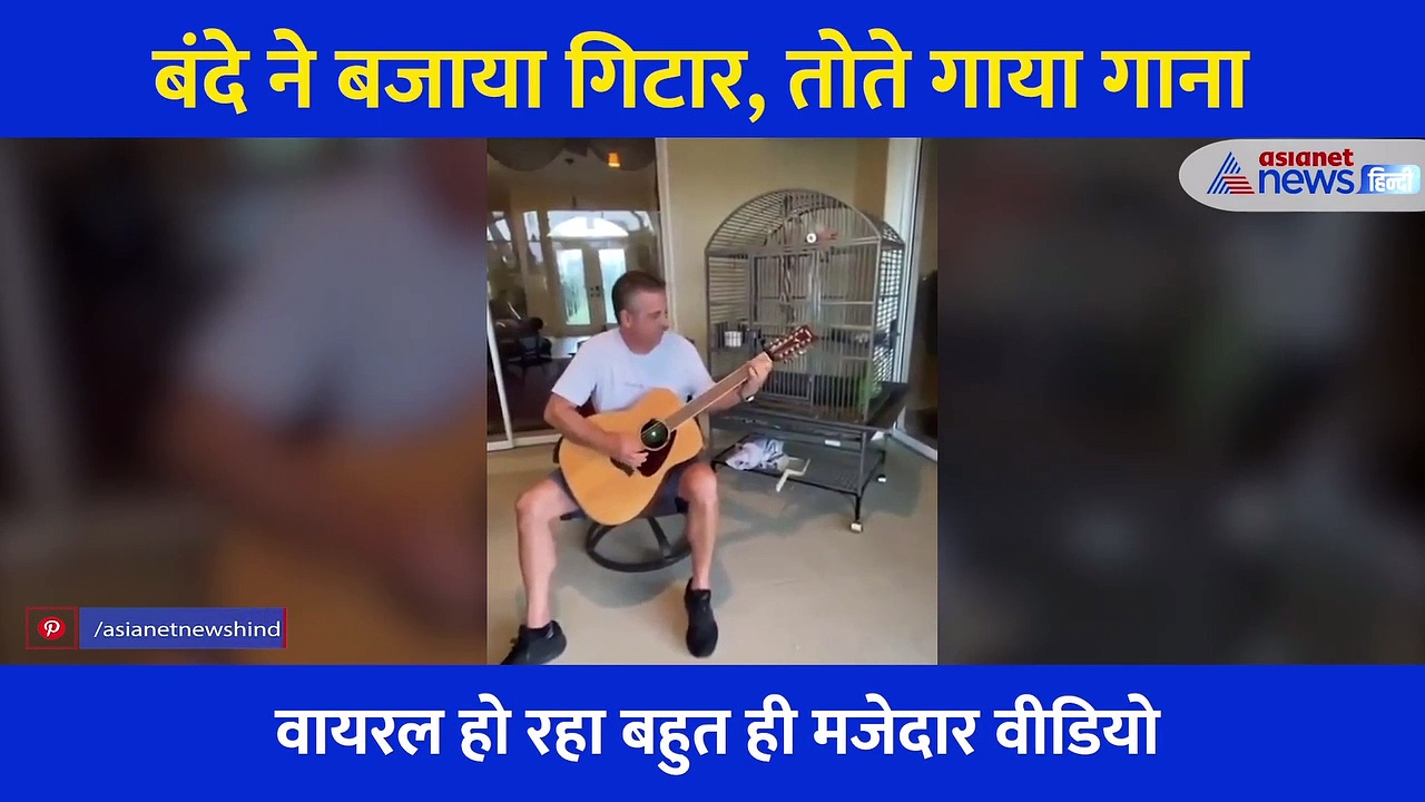 इस तोते के गाने को सुन उड़ जाएंगे आपके 'तोते'... गिटार की धुन पर क्या आवाज निकालता है ये पक्षी
