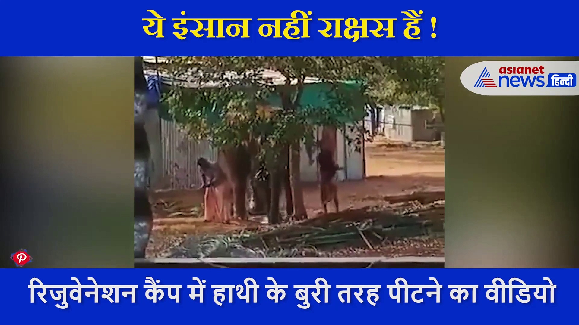 हाथी को पड़े से बांध डंडों से की पिटाई, वो चिंघाड़ता रहा लेकिन नहीं रुके 'राक्षसों' के हाथ, देखें Video