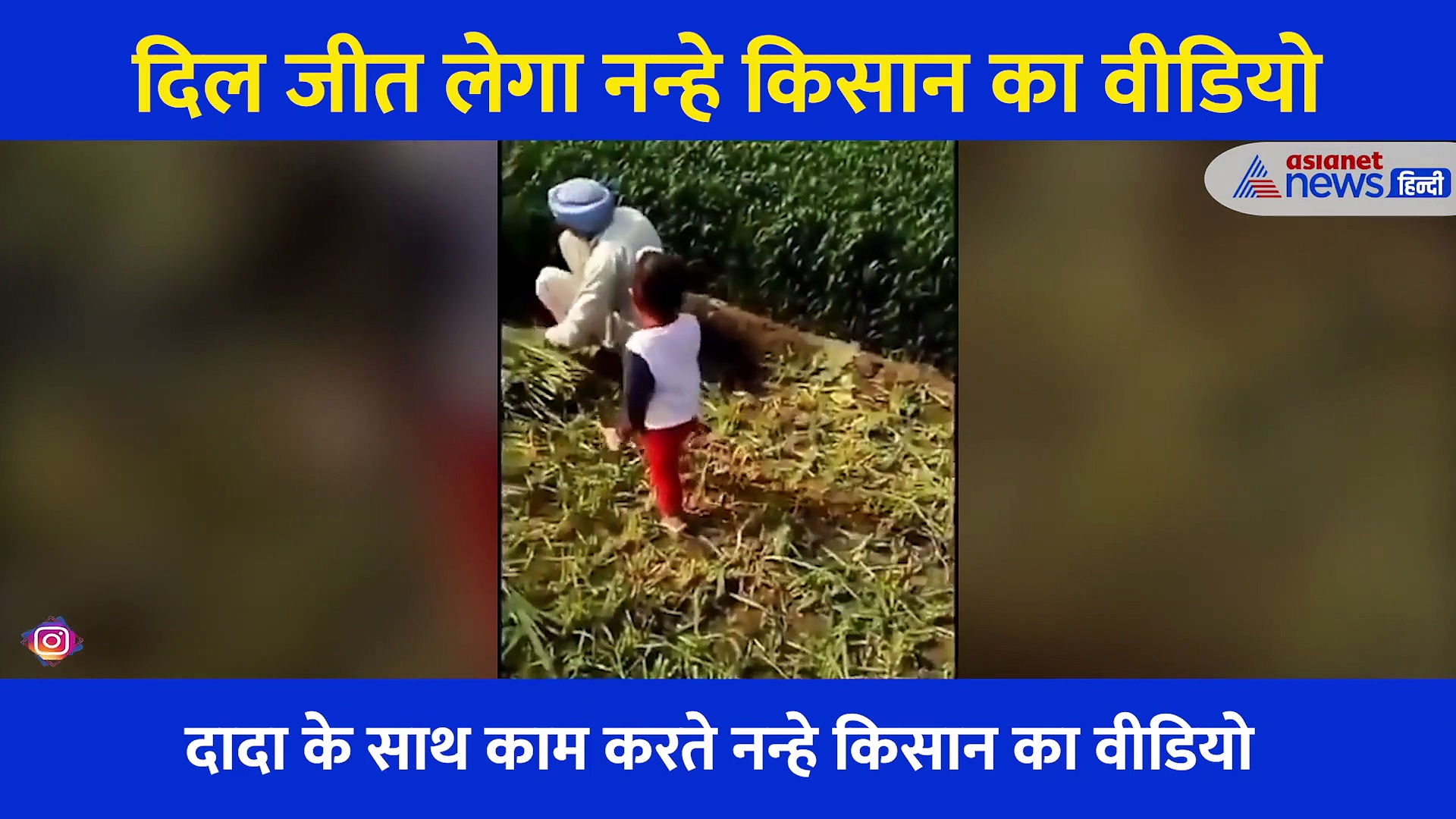 दादा के साथ खेतों में काम कर रहा नन्हा किसान, दिल जीत लेगा मासूम का वीडियो