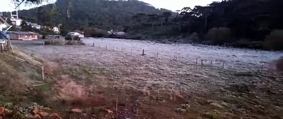 Скачать видео: Geada no amanhecer desta sexta-feira em Bom Jardim da Serra, em Santa Catarina