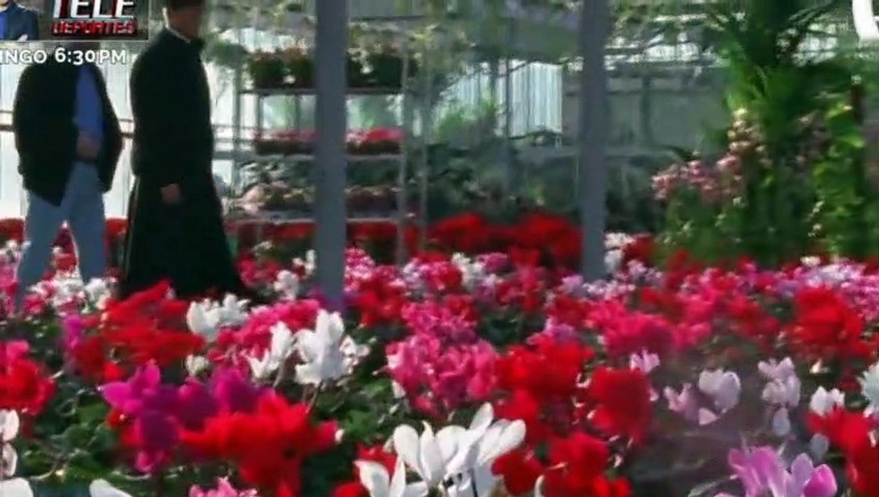 Don Matteo - Capitulo 07 Completo