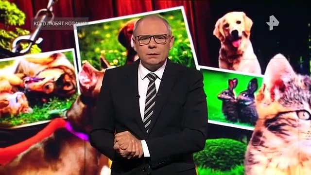 Самые шокирующие гипотезы (20.05.2022)