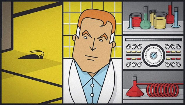 ECOGEL NOVAR Jeringuilla contra cucarachas Eficacia Profesional Elimina 50 cucarachas con una Sola Gota 10 gr Amazon.es Jardín