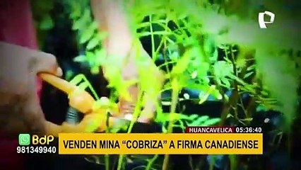 Huancavelica: Venden mina “Cobriza” a firma canadiense