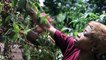 Coffee soap factory helps east Congo women make ends meet