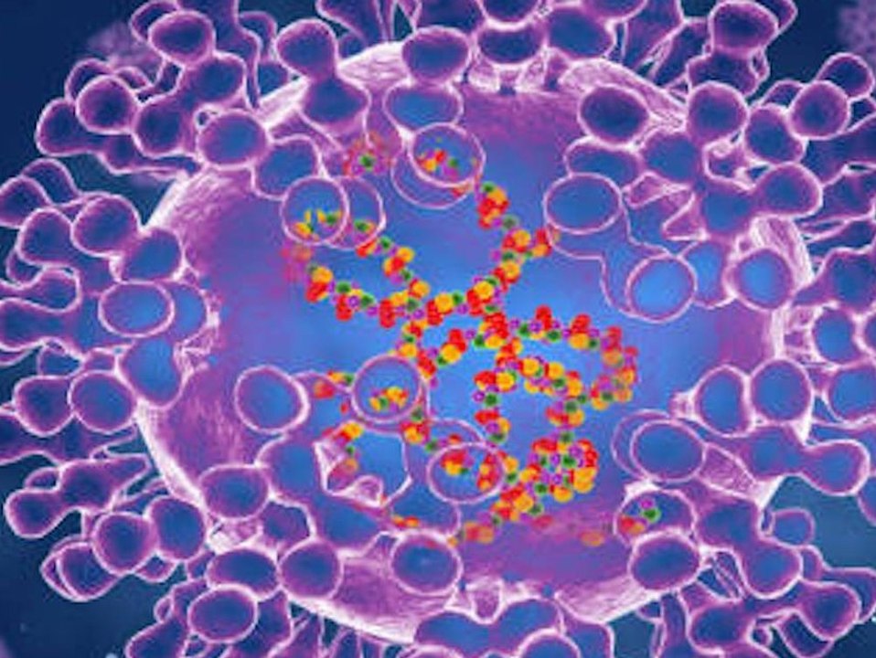 Affenpocken: Erster Fall in Deutschland nachgewiesen