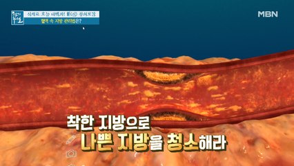 혈액 속 지방, 건강한 지방으로 없애라?