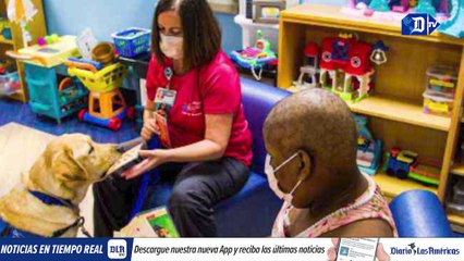 Perrito que responde a 40 voces de mando | La buena noticia