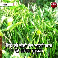 धार  : मिर्च की खेती कर लाखों कमा रहे किसान