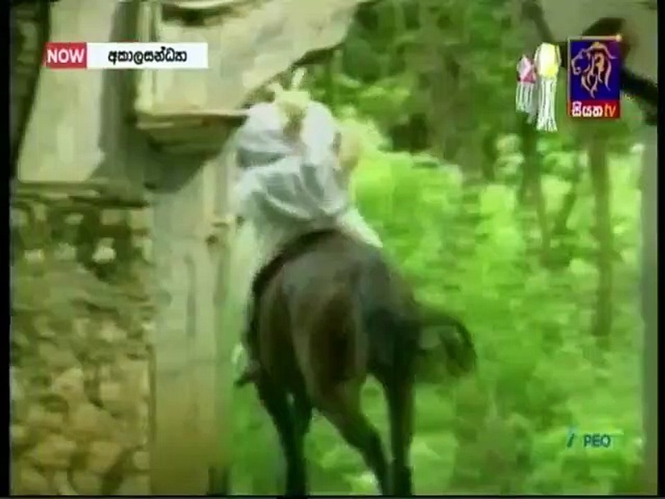 Akala Sandya (19) 20-05-2022