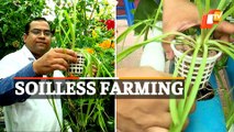 How To Grow Plants Without Soil | Botany Professor On Hydroponics Farming | OTV News