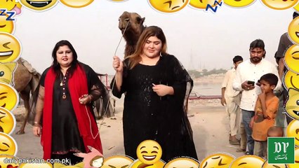 2 nojwan larkio k dirmian uunt ki sawari ka dilchasp muqabla