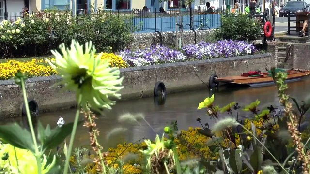 Kent's tourism sector fears cost of living crisis and eased covid restrictions will see decline in staycations