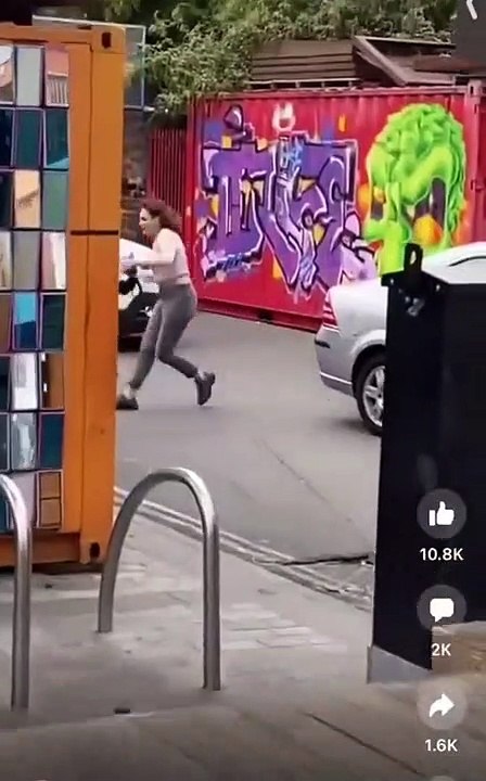Un pitbull n'intervient pas contre la bonne personne pour mettre fin à un vol à l'arraché