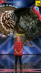 Lily Wilker - Animal Impressionist Delights The Judges #shorts