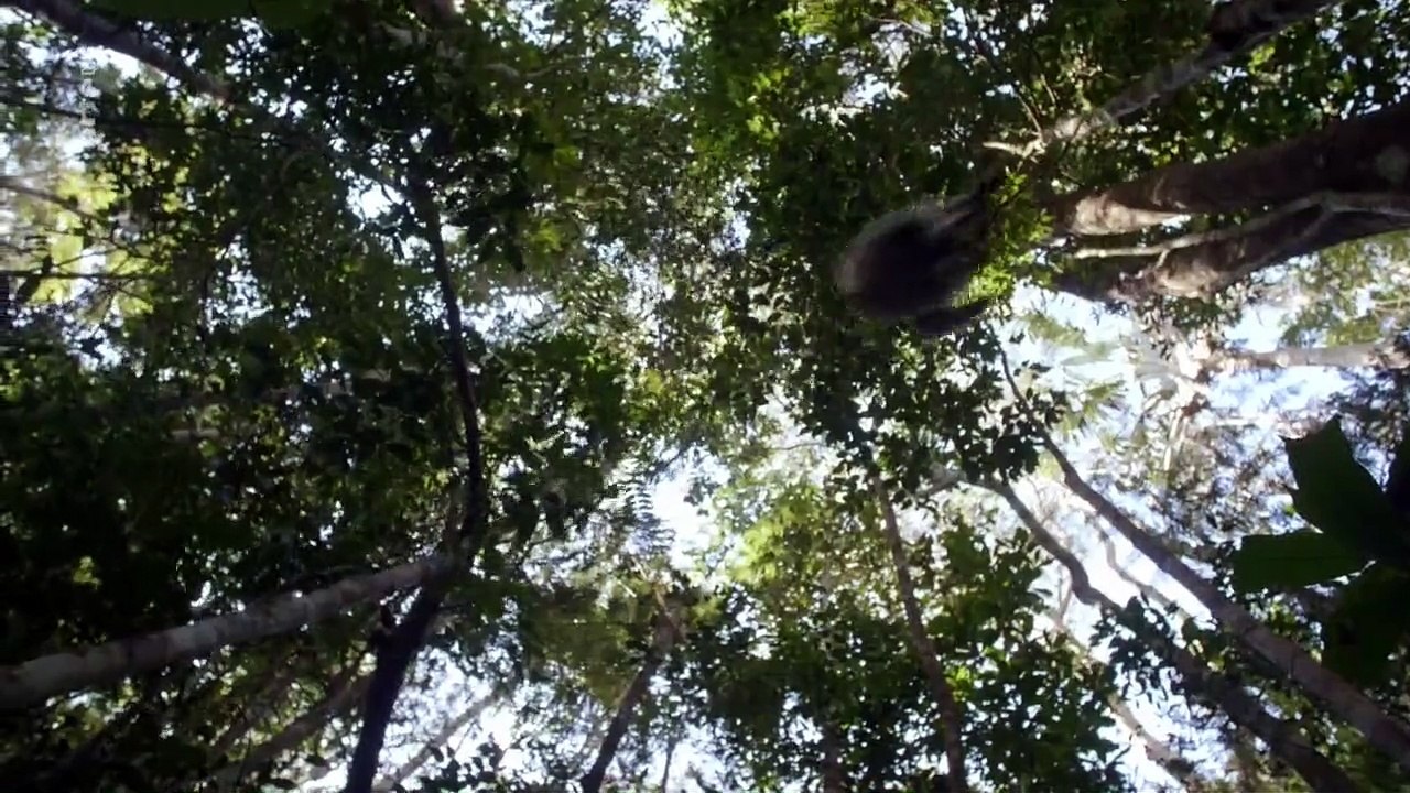 Unbekanntes Madagaskar Staffel 1 Folge 1 HD Deutsch