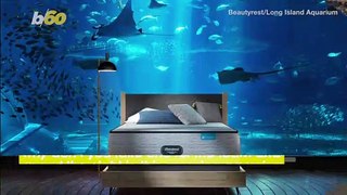 Ever Wonder What It’s Like to Spend The Night Under the Sea?
