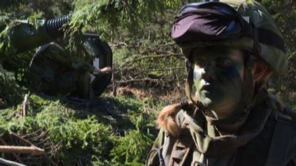 La guerra in Ucraina spinge la Svezia al riarmo