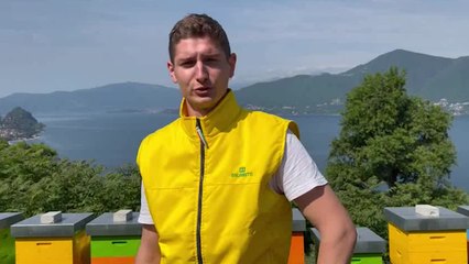 Produzione di miele, in Lombardia due anni duri a causa del clima