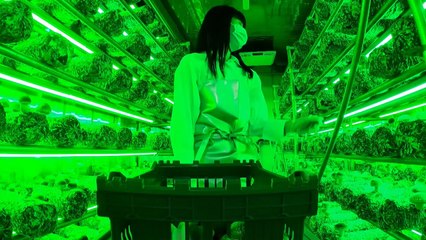 [新농비] 도시농사꾼의 수출용 냉동 컨테이너 활용법 / YTN