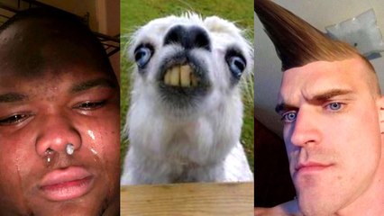 Tiktoks to keep you entertained at 3 am