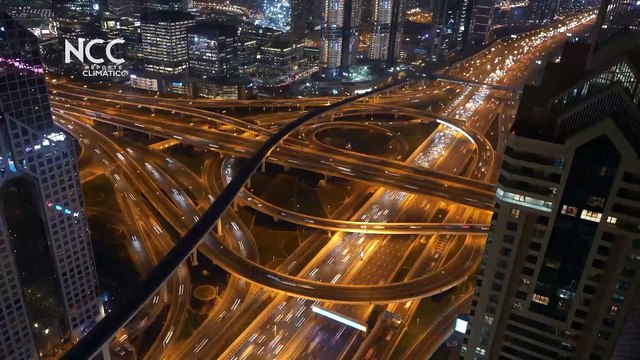 Reporte Climático 42 | Antropoceno y Defaunación: Una amenaza invisible