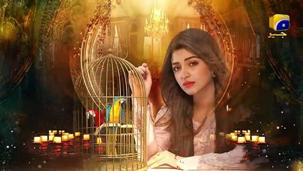 Dil Awaiz - Episode 17 -  20th May 2022 - HAR PAL GEO Drama