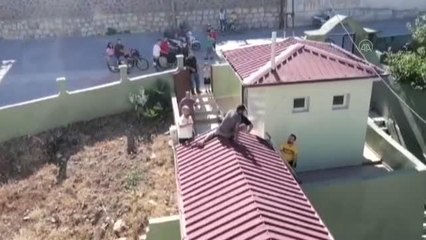 Cami kubbesinin kaplamasını çalmaya çalışan kişi yakalandı