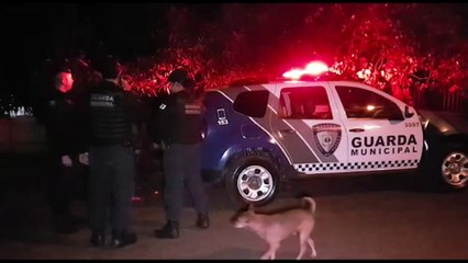 Guarda Municipal detém casal e recupera Civic roubado em Sede Alvorada