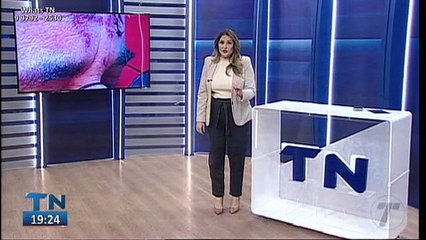 Tribuna Notícias 2ª Edição 20  05  2022