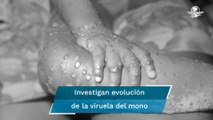 Científicos advierten que viruela del mono podría haber cambiado su forma de contagio