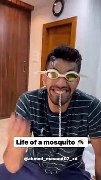 life of the mosquito | يوم لحياه الناموس
