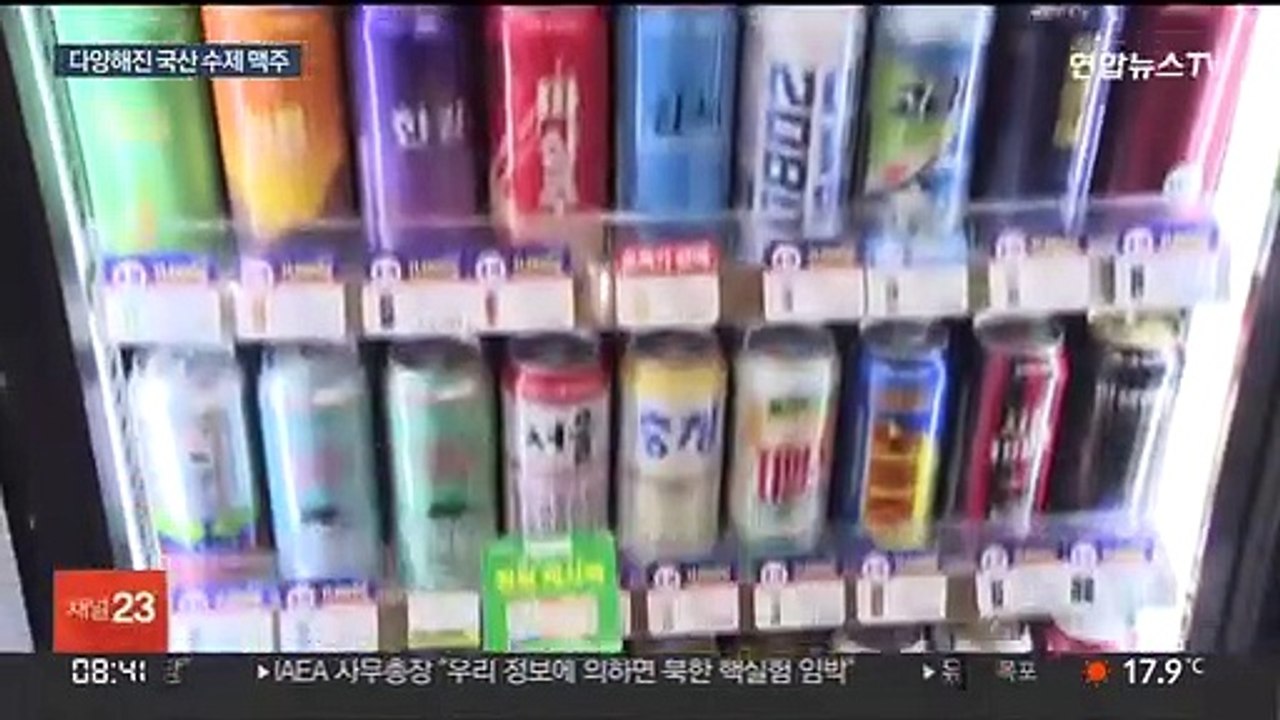'신상'만 100여 개…국산 수제 맥주 춘추전국시대