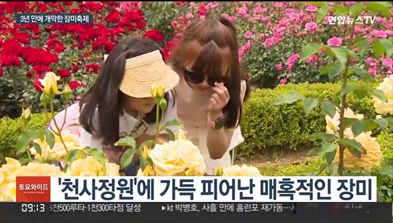'매혹적인 장미의 향연'…곡성 장미축제 3년 만에 개막