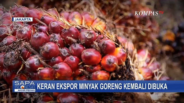 Keran Ekspor Minyak Goreng Kembali Dibuka Mulai 23 Mei 2022