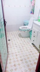 تدريب الطير عل اعلي مستوي | Bird training at the highest level 